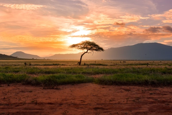Zanzibar Tanzania