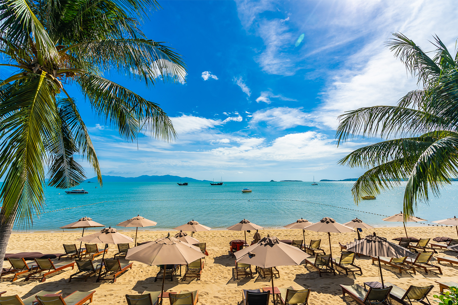 Diani Beach Travel Guide