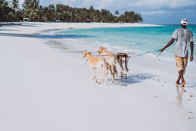 Kenya beach escape