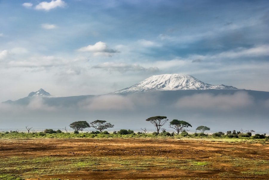 Kilimanjaro and Amboseli