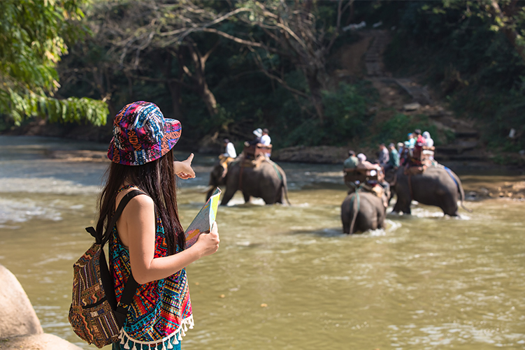Wildlife Safaris Kenya